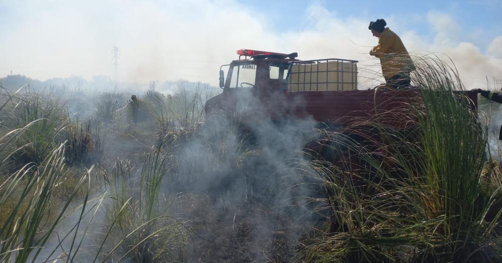 Ms de cinco horas trabajaron para apagar el incendio