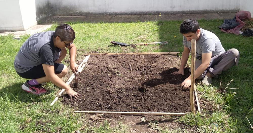 Los martes y viernes habr un taller de huerta