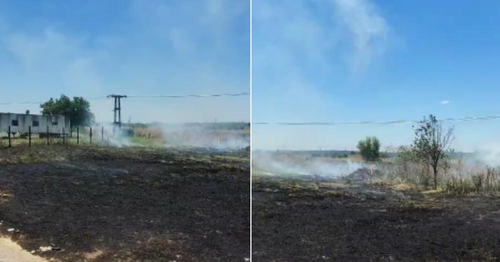 El fuego se originó en una zona de pastizales