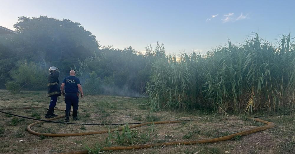 Los Bomberos de Lomas otra vez en acción en la Reserva Santa Catalina