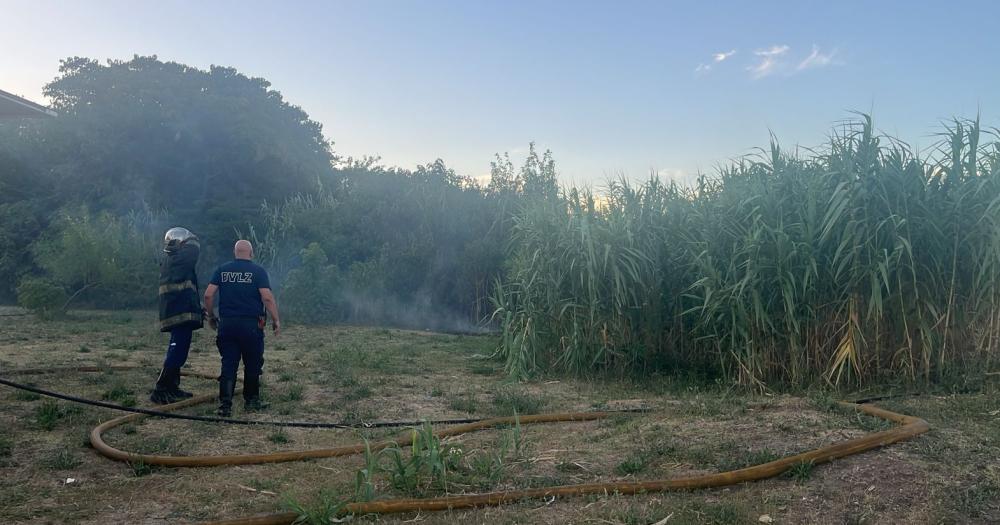 Los Bomberos de Lomas otra vez en acción en la Reserva Santa Catalina