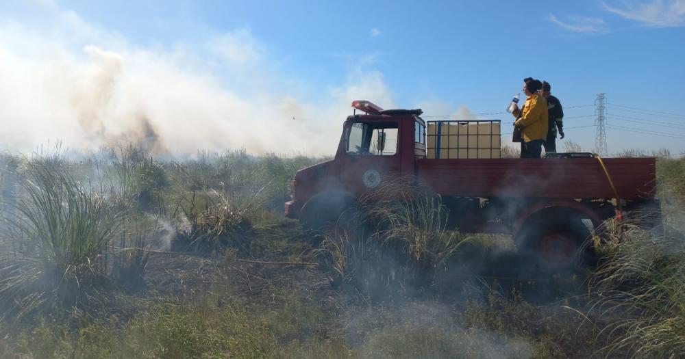 Piden que no se hagan podas y si se corta el pasto levantarlo inmediatamente y no quemarlo