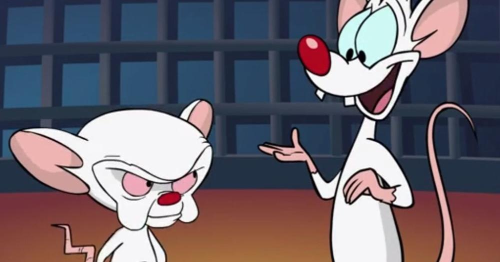 Pinky y Cerebro