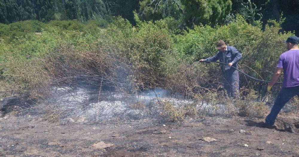 Brigadistas y civiles trabajan sin descanso