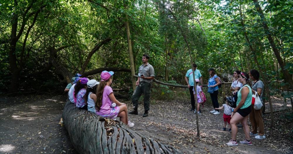 Se viene un mes lleno de actividades para conectar con la naturaleza