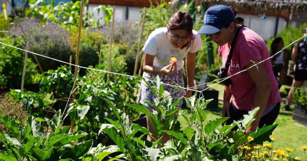 En los talleres de huerta brindan conocimientos sobre cultivos y control de plagas