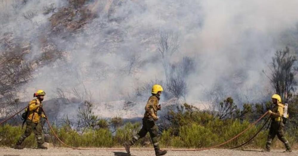 En Lomas maacutes vecinos se solidarizan frente a los incendios en El Bolsoacuten