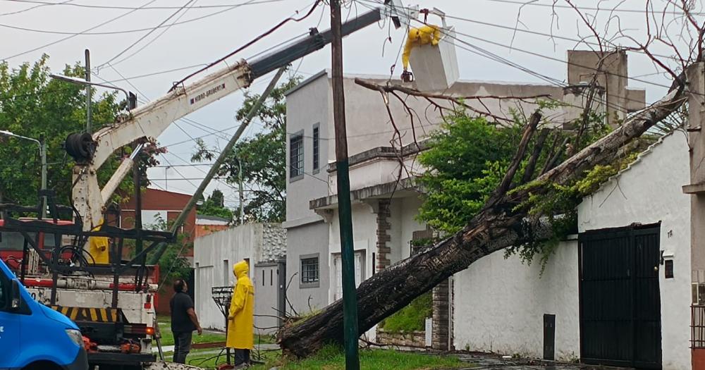 Trabajan para mitigar las consecuencias de las lluvias en Lomas 