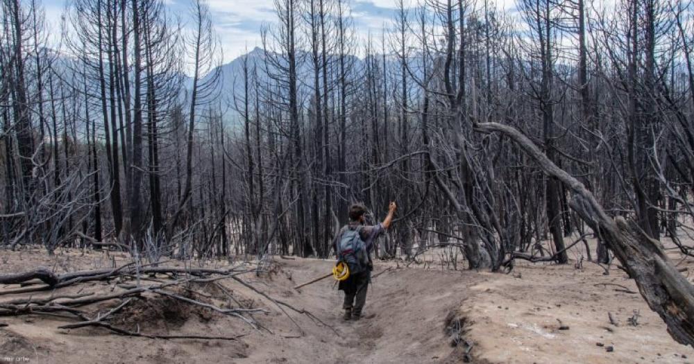 Brigadistas bomberos voluntarios y pobladores siguen trabajando