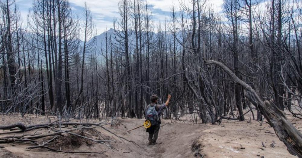 Brigadistas bomberos voluntarios y pobladores siguen trabajando