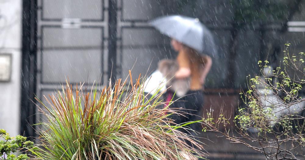 Nuevo cambio en el clima- hasta cuaacutendo seguiraacuten las lluvias en Lomas y la regioacuten