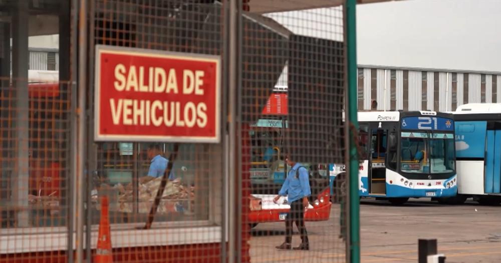 La estafa perjudicó a unos 800 colectiveros