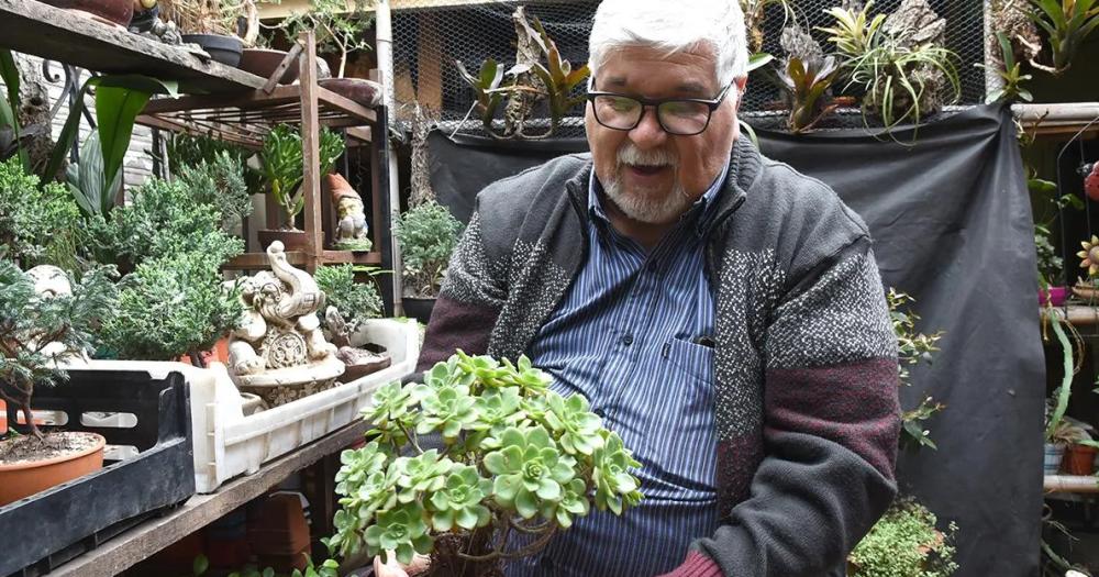 Héctor se dedica al cultivo de bonsi hace ya medio siglo