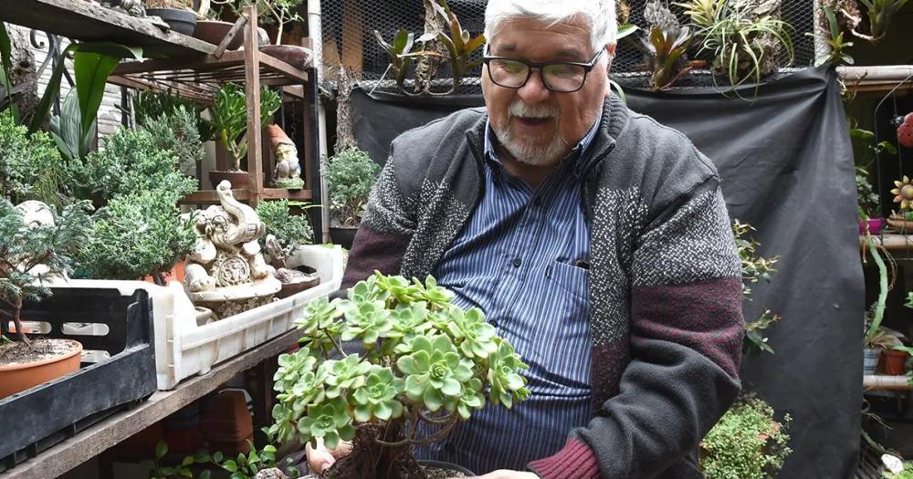 Héctor se dedica al cultivo de bonsi hace ya medio siglo