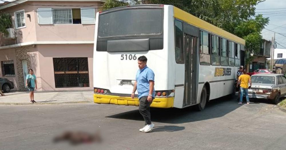 El perro perdió la vida en el acto