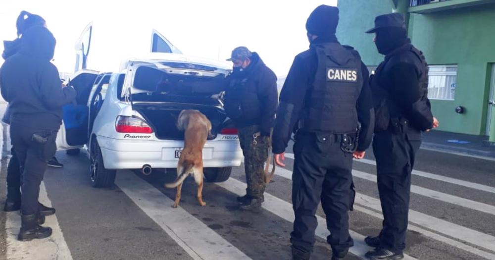 Un perro de rastreo detectó la droga