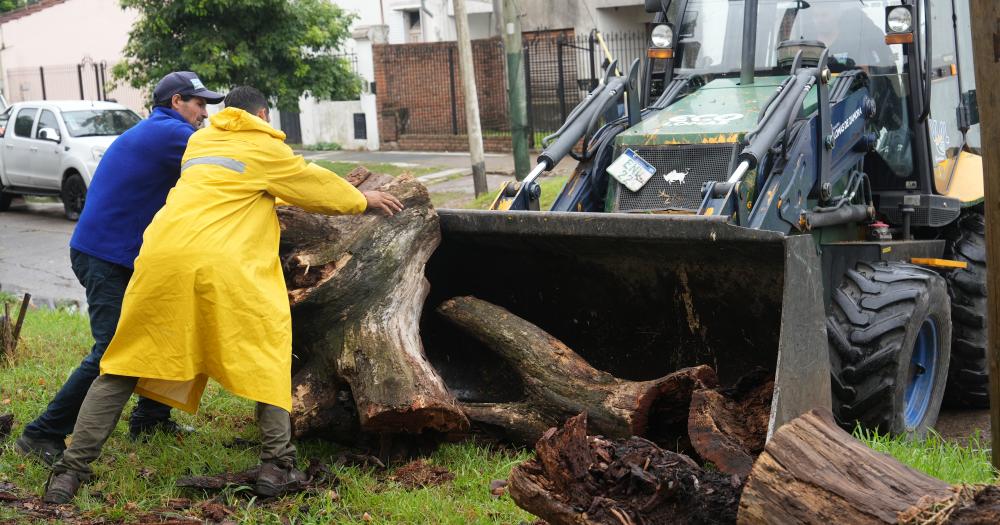 Lomas- trabajan para que en las calles no se junten residuos durante las lluvias