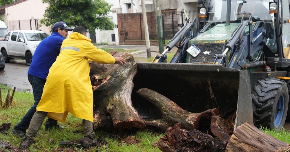 Lomas- trabajan para que en las calles no se junten residuos durante las lluvias