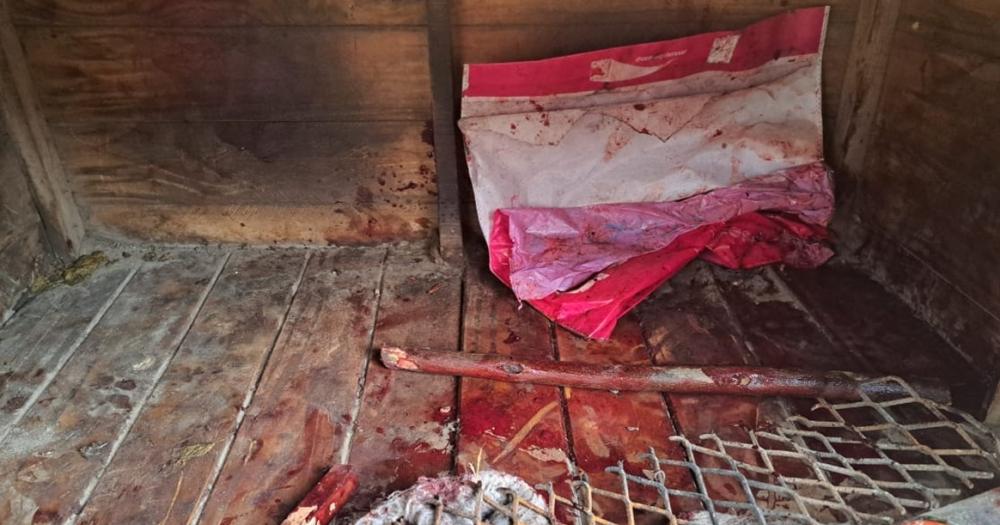 El perro sufrió graves heridas
