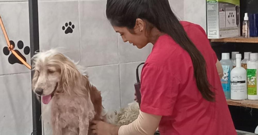 Carla es una apasionada de los animales y disfruta de su trabajo diario