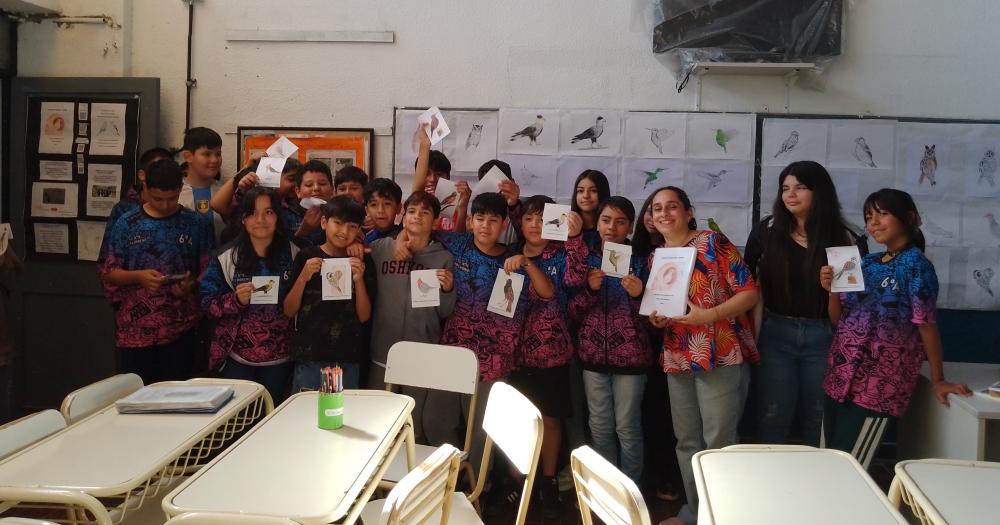 El libro tiene dibujos e información sobre 20 especies de aves