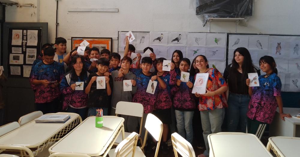 El libro tiene dibujos e información sobre 20 especies de aves