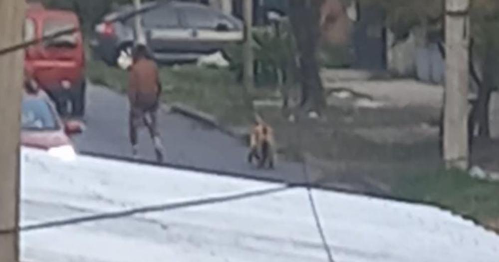 El maltratador quedó filmado en un video