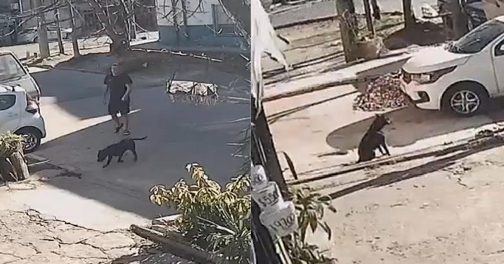El video indignó a los vecinos