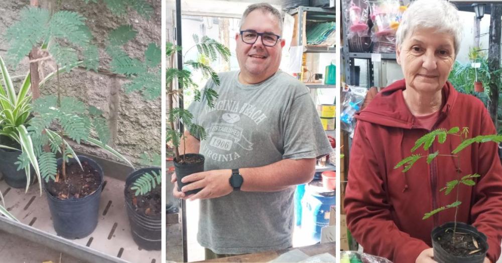 Regala sus plantaciones a vecinos y amigos de sus amigos