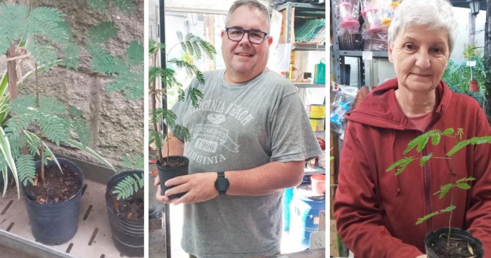 Regala sus plantaciones a vecinos y amigos de sus amigos
