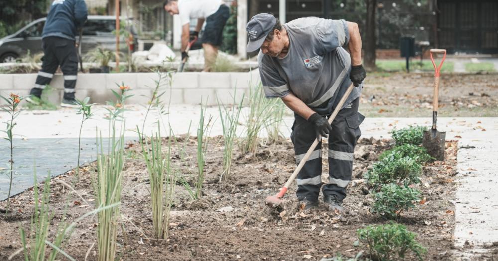Forestación en la Plaza de los Italianos que est siendo remodelada