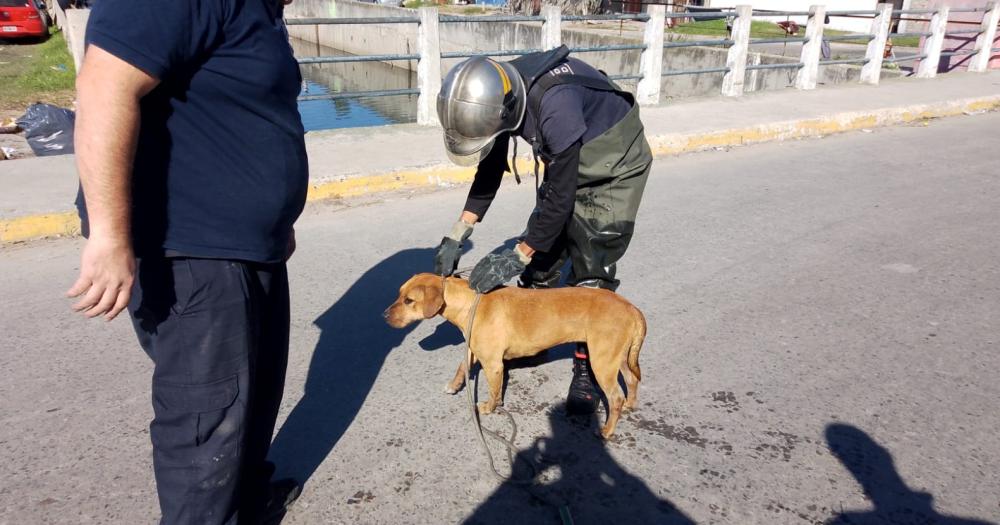 El momento del rescate