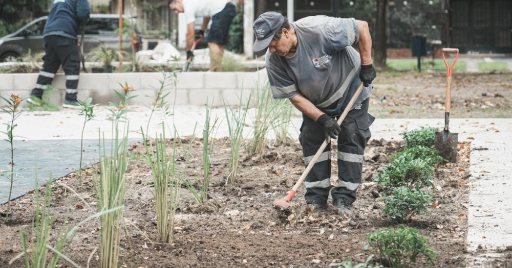 Forestación en la Plaza de los Italianos que est siendo remodelada