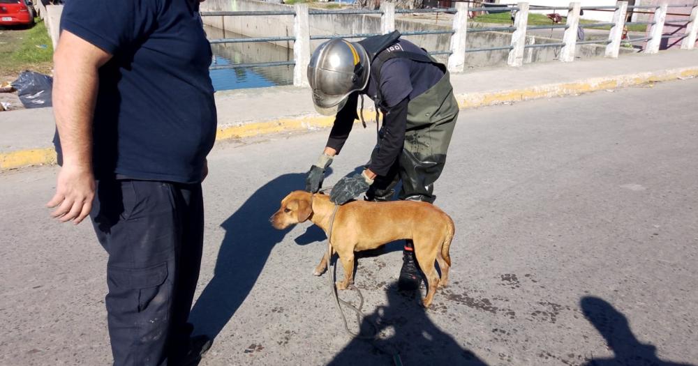 El momento del rescate