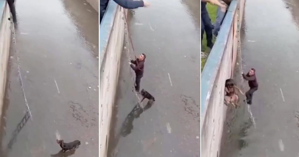 El video se viralizó en redes sociales