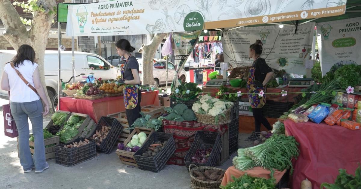 Cada stand es atendido por productores locales autogestivos