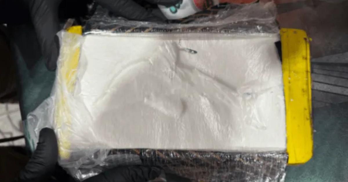 Un ladrillo de cocaína con el sello del delfín