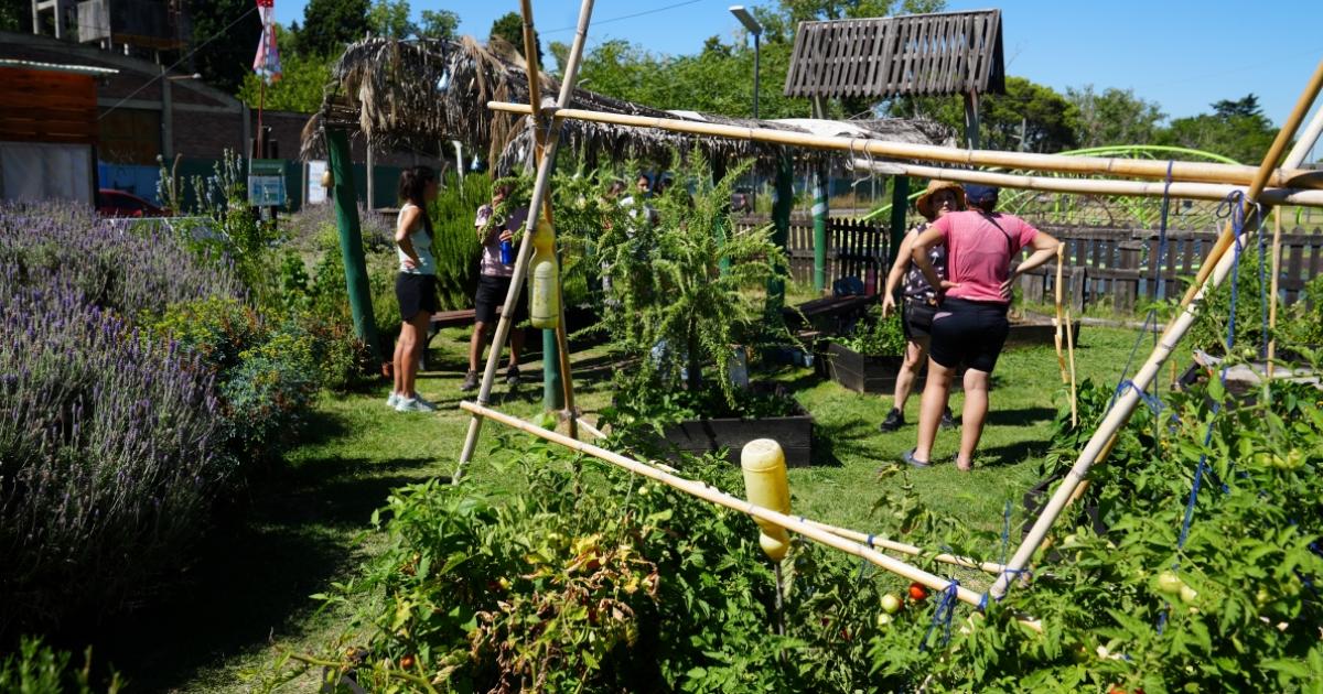 Arman nuevas huertas en Lomas y entregan semillas para producir alimentos