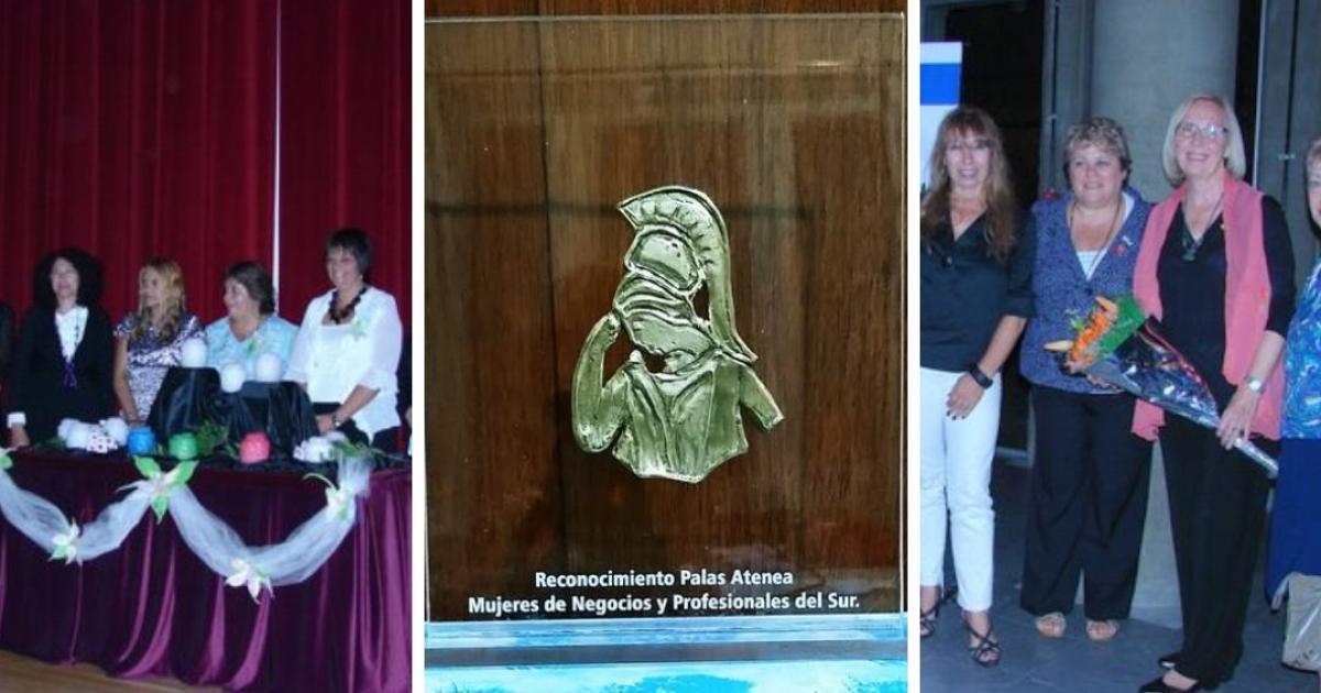Muchos años de reconocer a las Palas Atenea de la zona Sur