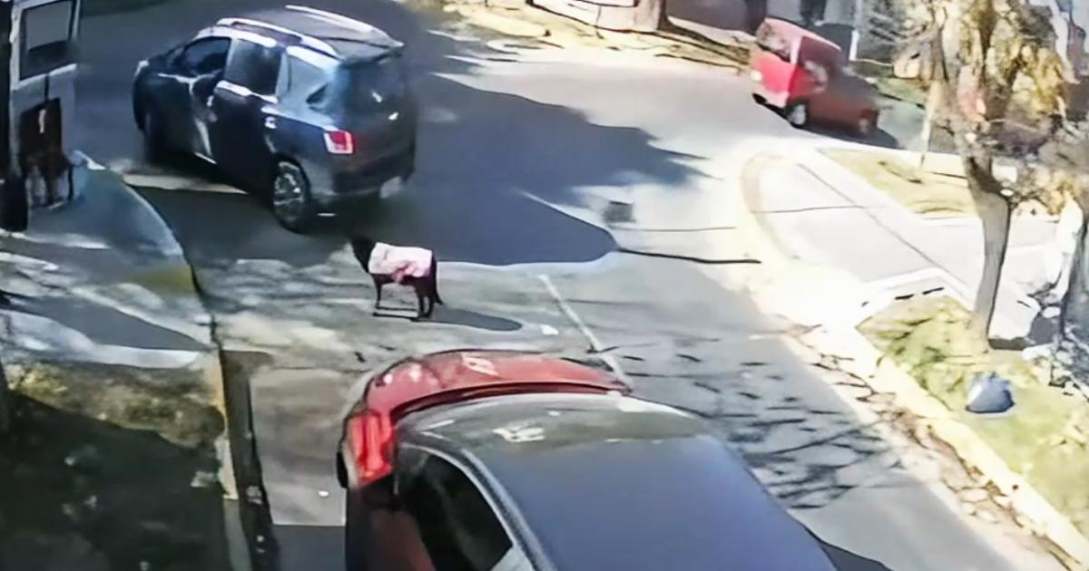 La secuencia quedó grabada por una cmara de seguridad