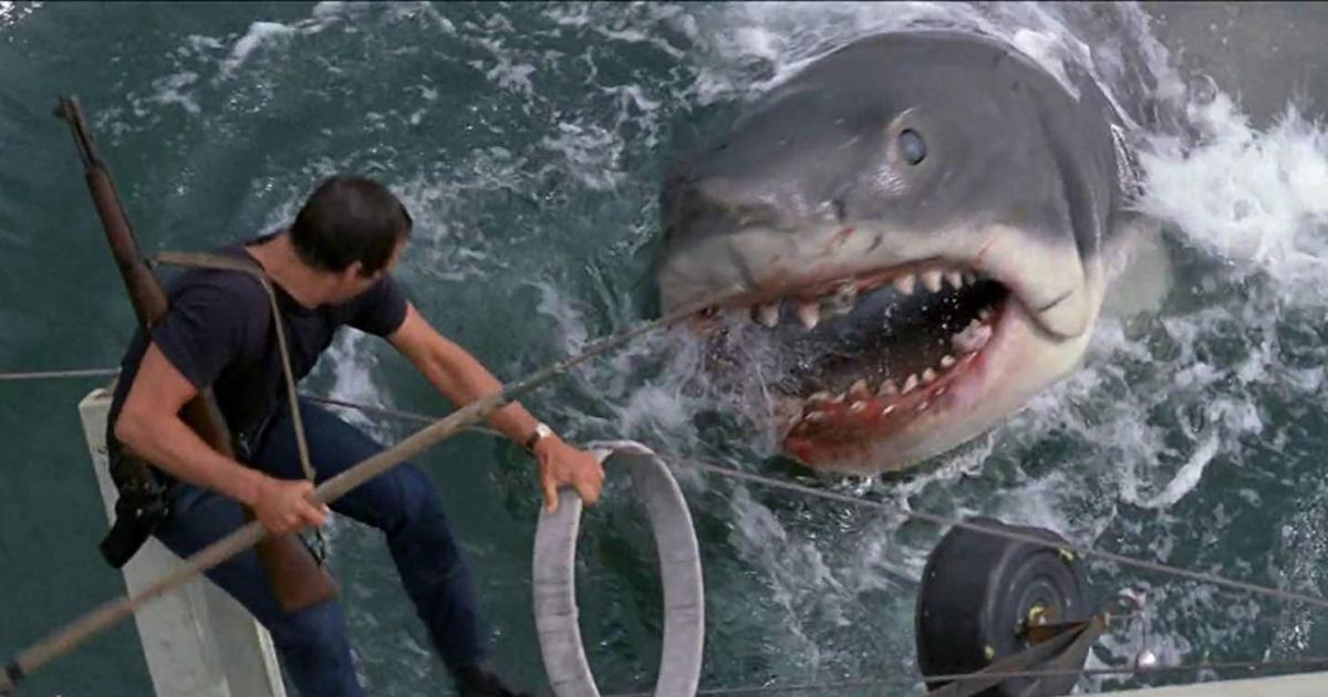 Tiburón un clsico