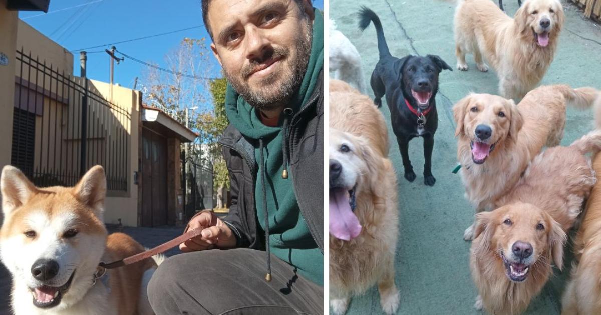 Recomienda tomar conciencia respecto a la educación canina