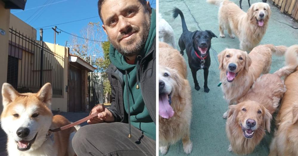 Recomienda tomar conciencia respecto a la educación canina