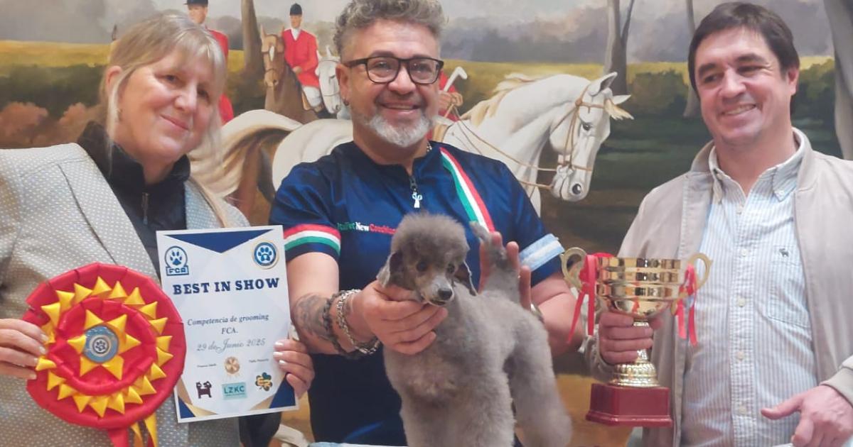 Un caniche de 8 años se llevó el primer premio