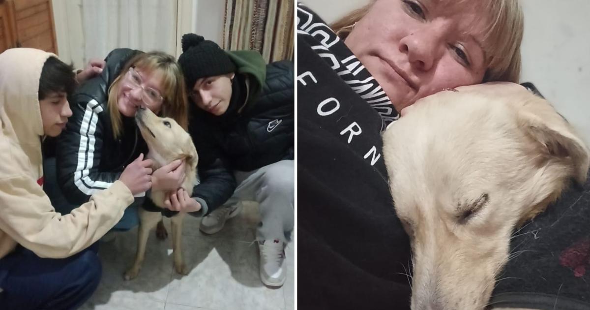 El tan anhelado reencuentro pudo concretarse gracias a la acción solidaria de Mirta Tomi ya est con su verdadera familia