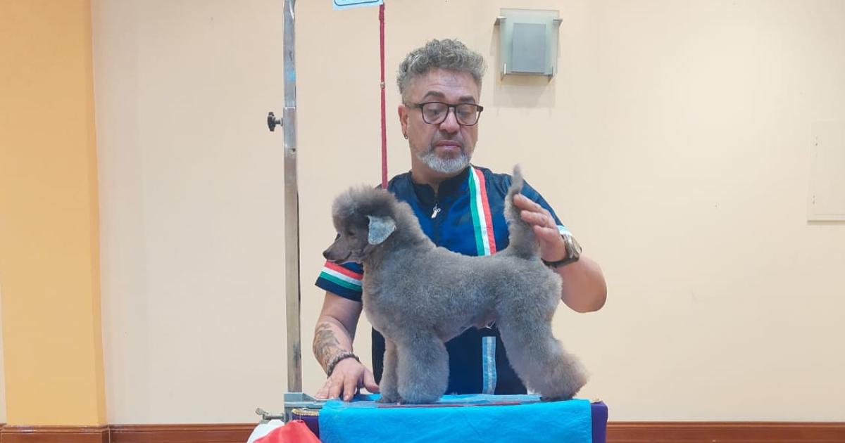 El ganador representó a Italia pero tiene su propia peluquería canina en Quilmes