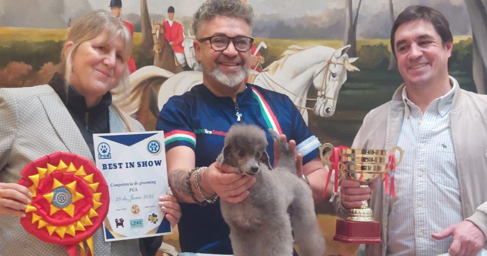 Un caniche de 8 años se llevó el primer premio