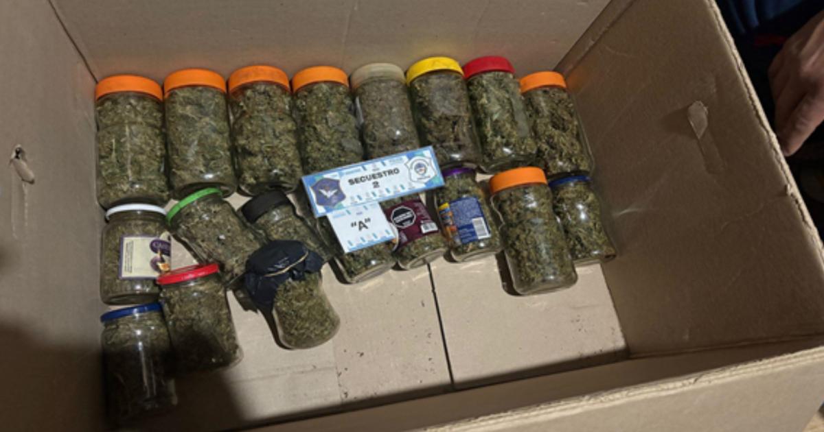Frascos de marihuana incautadas