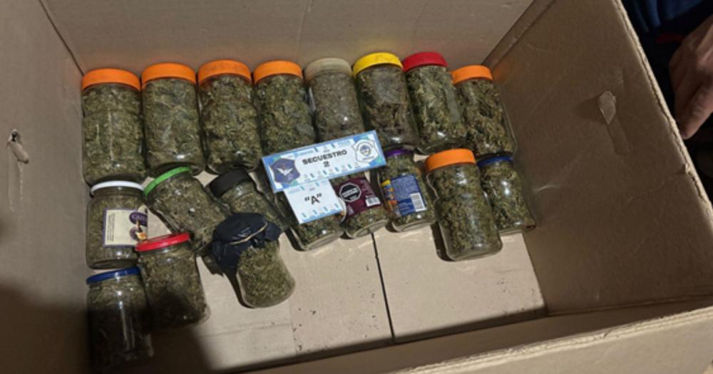 Frascos de marihuana incautadas