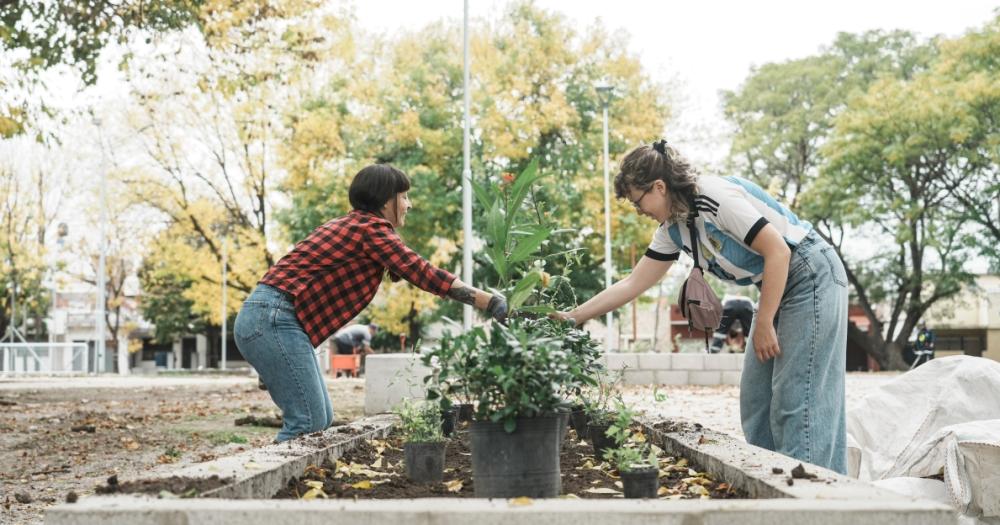 A las 10 comenzar?n las actividades en diferentes espacios